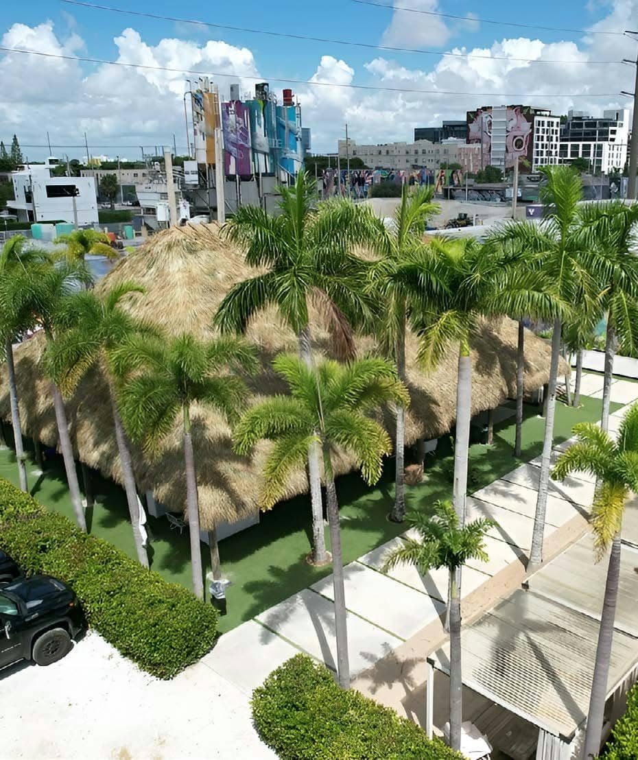 The covered pavilion and the two rows of palms from the air